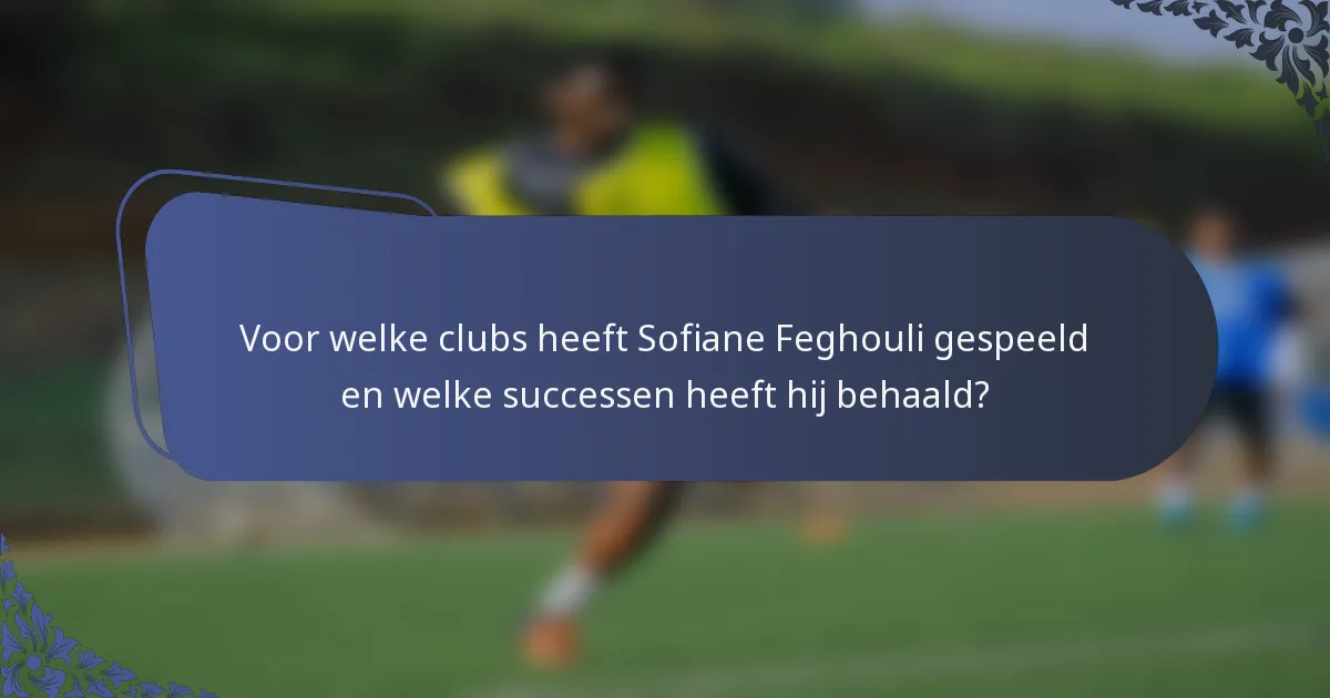 Voor welke clubs heeft Sofiane Feghouli gespeeld en welke successen heeft hij behaald?