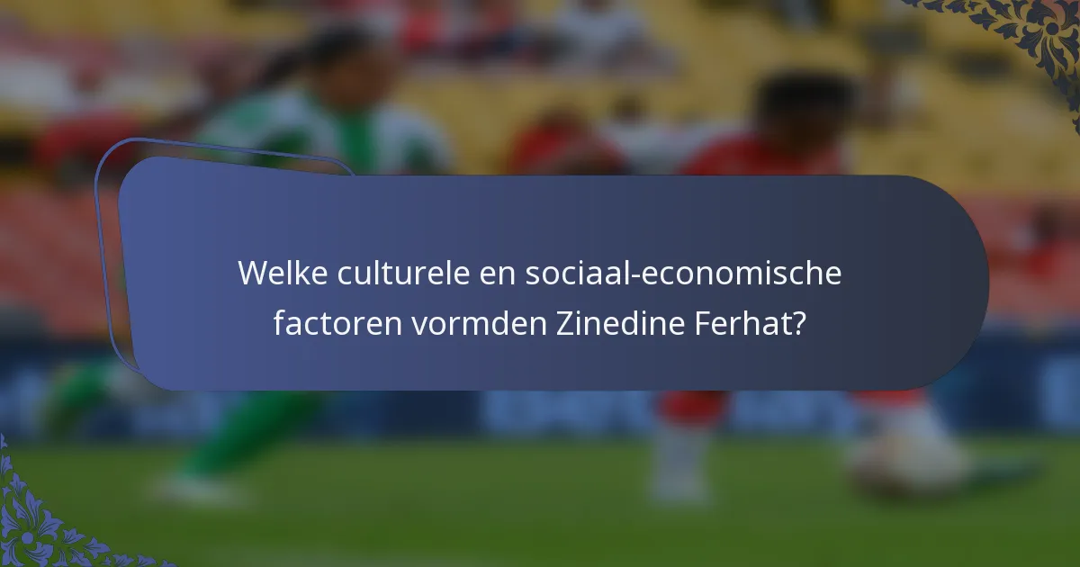 Welke culturele en sociaal-economische factoren vormden Zinedine Ferhat?